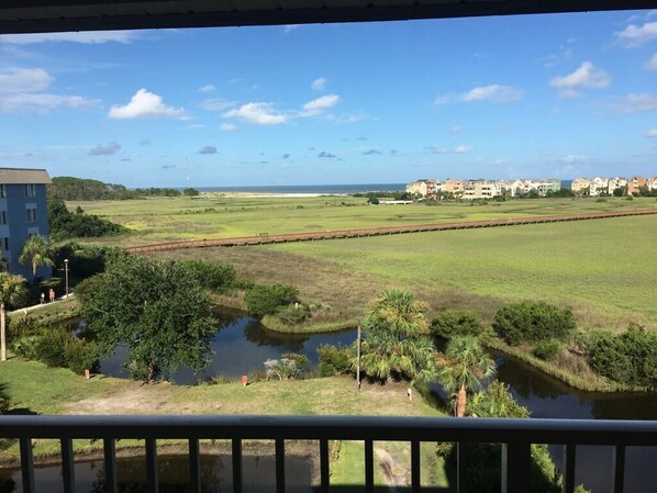 View from Balcony