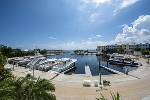 Spacious Marina W/Direct Open Ocean Access