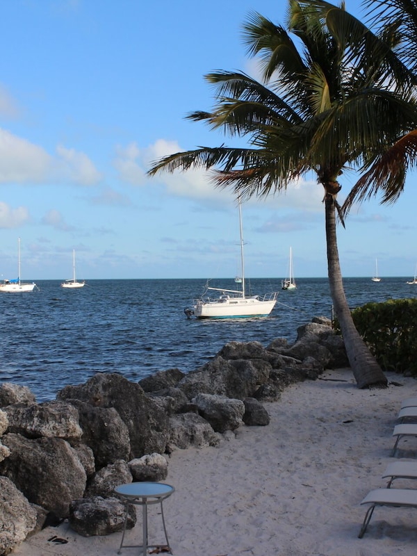 Oceanfront Sunbathing Beach Area