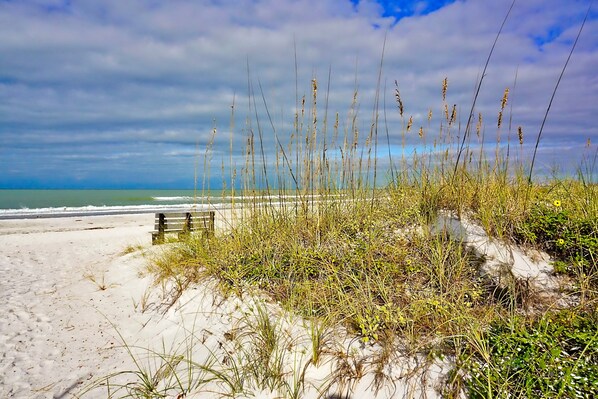 Your view as you cross the nearest boardwalk to the beach on 14th avenue