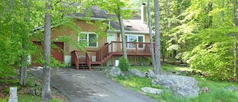 Front of the house- long driveway and tons of privacy