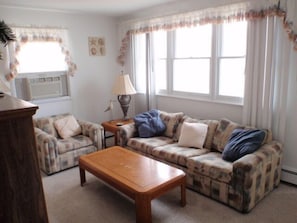 Living Room - pull out queen
