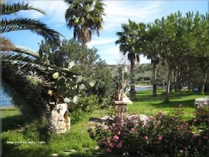 Garden, Park at the beach