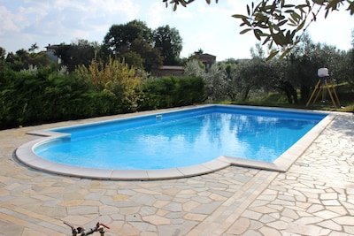 "Assisi " appartement in the Villa di Castello is situated in the middle of an olive garden