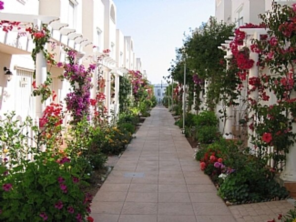 The avenue our duplex is in