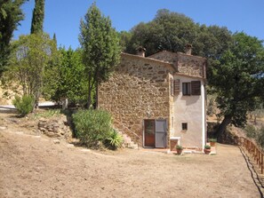 from west