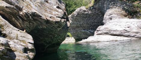 Piscine naturelle dans la propriété