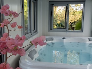 spa jacuzzi pour une séance en toute intimité