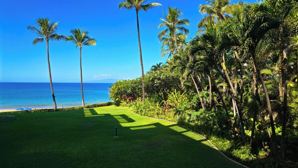 View from Lanai
