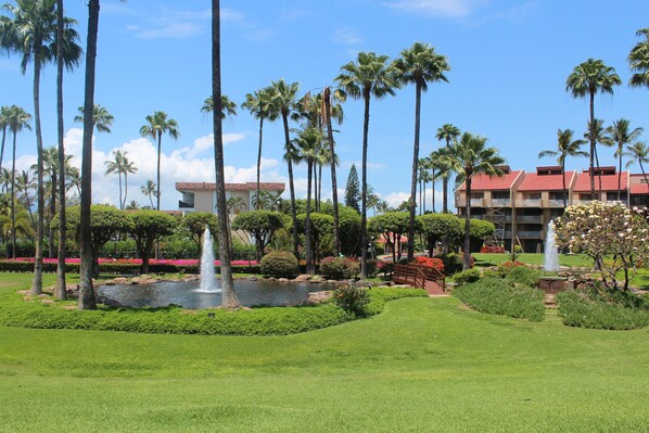 View from our ground floor lanai