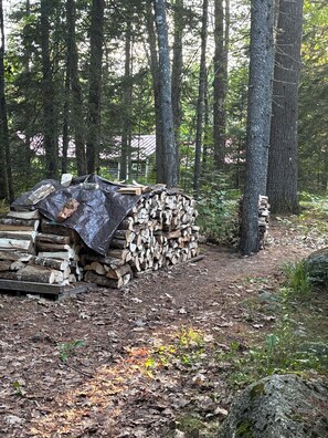 We provide a cord of seasoned wood each season which usually lasts to Fall