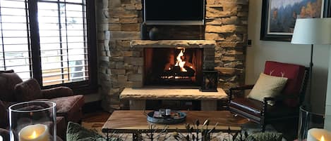 Living area/fireplace