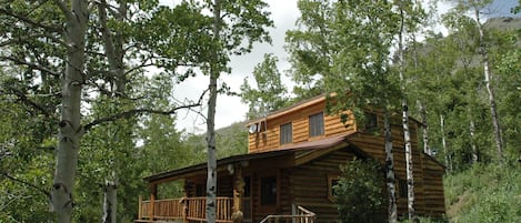 Our cabin