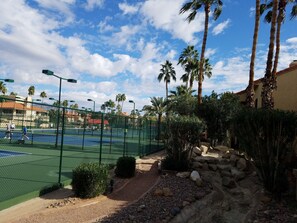 Sport court