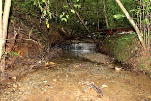 Creek at Woodland Waltz