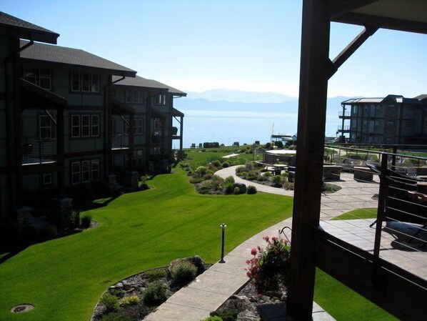 View from the Deck!
