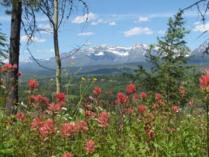 Spring view of the Rocky Mountains/Glacier Nat. Park from front yard of property