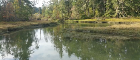 Marsh Flats near Oro Bay