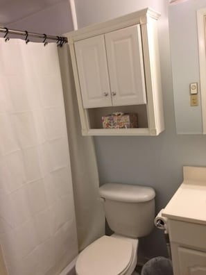 Master Bath with New Shower