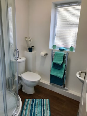 Shower room with electric shower and heated towel rail