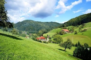 Terrain de l’hébergement 