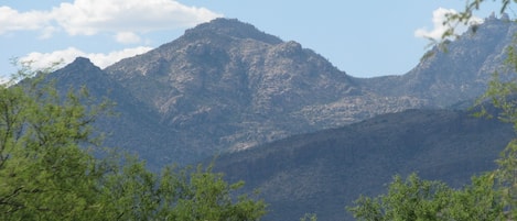 View north to the catalina mountains