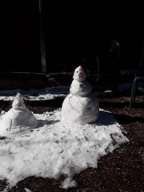 backyard winter entertainment