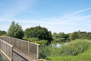 Vue sur l'eau