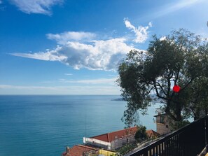 Vista dalla struttura