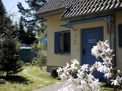 Ferienhaus 'Hendrikje' am Haff im idyllischen Kamminke, WLAN, Sauna, Kaminofen
