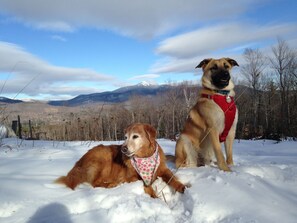 Esportes de neve e esqui