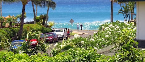 View from the Lanai and Living Room