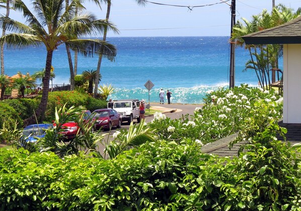 View from the Lanai and Living Room