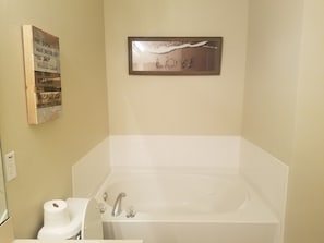 Master Bath Spa Tub