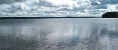 Järvi