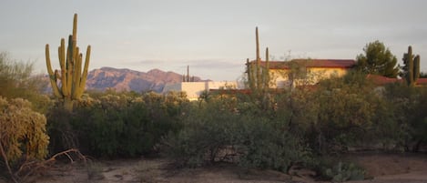 Catalina Mtns loom over the property & home