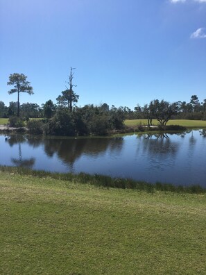 Golf Course Views
