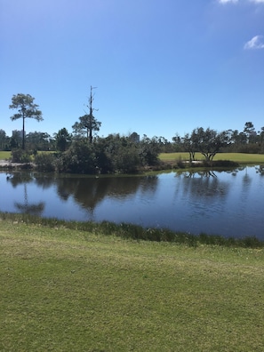 Golf Course Views