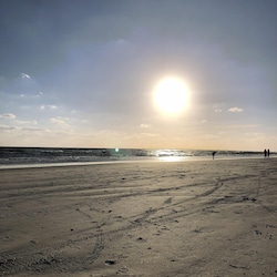 Welcome to FMB!
