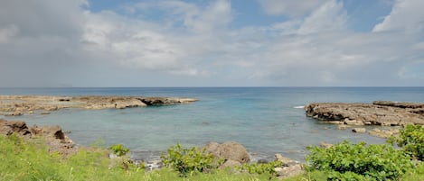 Shark's Cove directly across the street