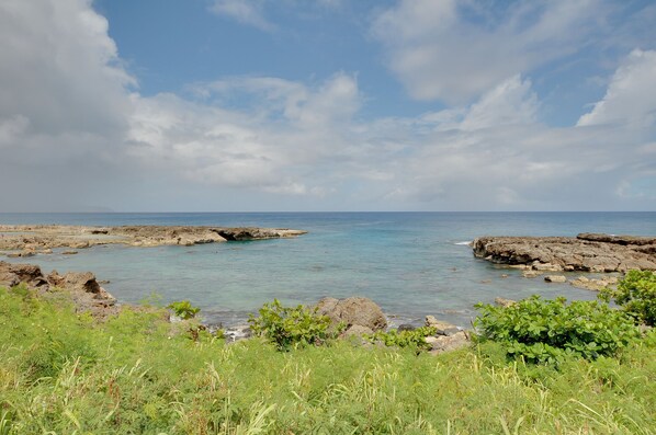 Shark's Cove directly across the street