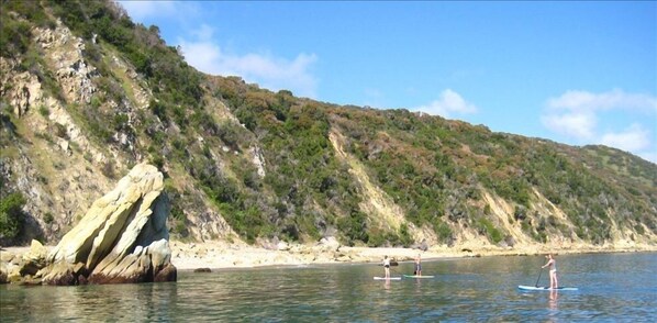Stand Up Paddleboards by Frog Rock. Rent a Paddle Board or Kayak in town.