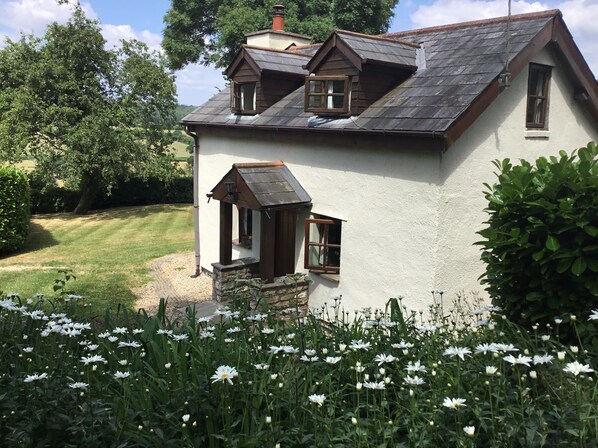 Forest Cottage 