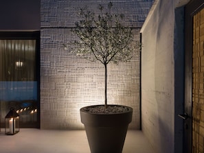 Flowerpot, Light, Wall, Tree, Lighting, Architecture, Plant, Material Property, Houseplant, Interior Design