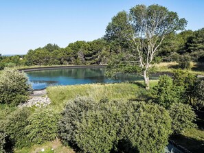 Natural Landscape, Shrub, Plant Community, Watercourse, Bank, Nature Reserve, Pond, Lake, Garden