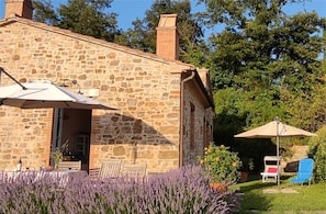 Terrace and private garden