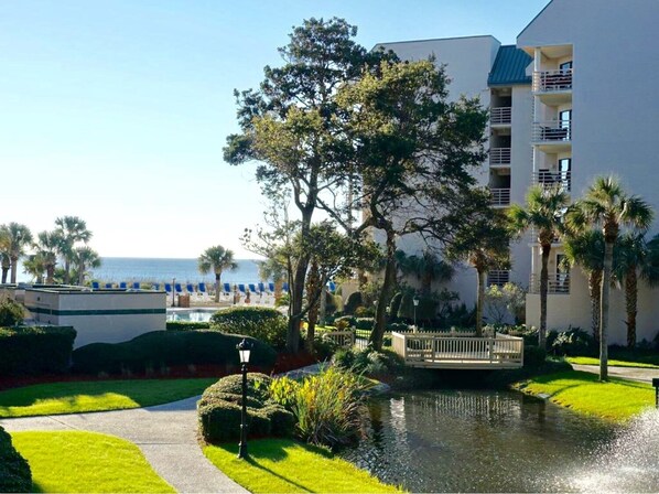 Ocean/pool view from living room