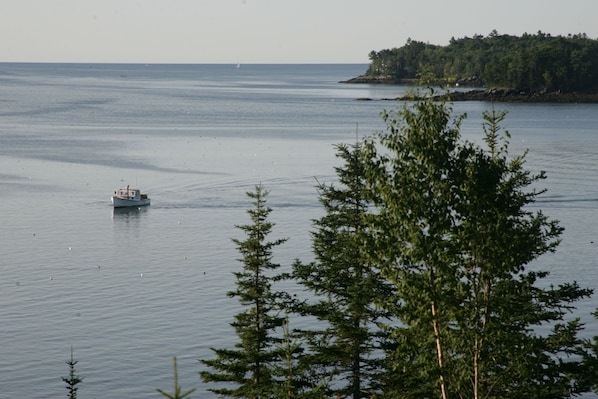 Property is on a peninsula. Amazing view of John's bay and a local lobster boat.