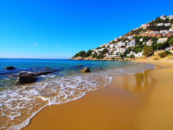 Water, Sky, Water Resources, Azure, Natural Landscape, Beach, Tree, Coastal And Oceanic Landforms, Terrain, Horizon