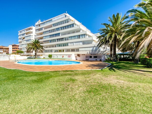 Water, Plant, Building, Sky, Tree, House, Swimming Pool, Body Of Water, Arecales, Condominium
